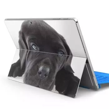igsticker Surface pro7 pro6 pro2017 pro4 эксклюзивный чехол для ноутбука чехол для ноутбука пленка наклейка аксессуар защита 000127 Животное Собака