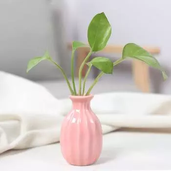 Ins Керамическая ваза для цветов Nordic Hydroponics Вазы Креативный декор комнаты Мини-цветы Растения Бутылочные горшки Настольное украшение Цветная ваза A4
