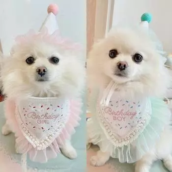 INS Pet Supplies Собака День рождения Слюна Полотенце Вечеринка Pet Треугольный шарф Кошка Кошка Собака Милый кружевной нагрудник Аксессуары для домашних животных
