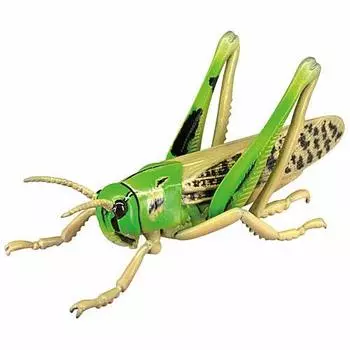 Insect forest G big Giant Spider Tonosama attack! [4. Grasshopper] (single item)