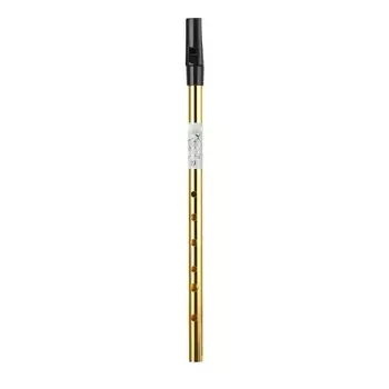 Ирландский духовой инструмент Tin Whistle Точная настройка 6 (D-мелодия) золотой