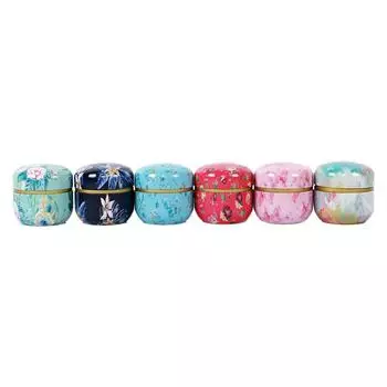 Japanese Style Kitchen Tea Box Jar Storage Holder Sweetmeats Candies Cans Teaware Tea Caddies Containers Storage Box