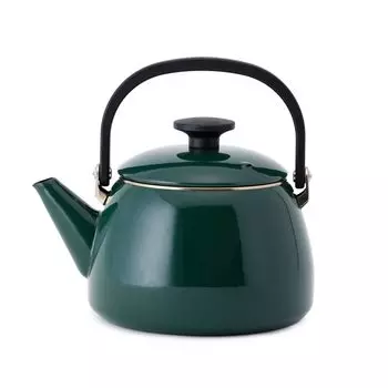 Эмалированный чайник Fuji с широким горлом 2,5 л (зеленый)