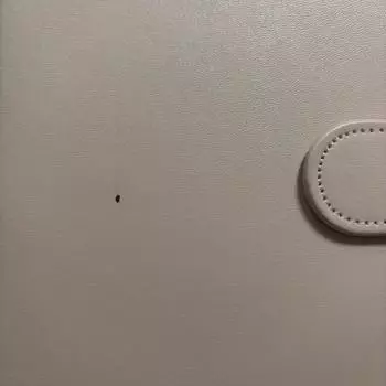 Это папка