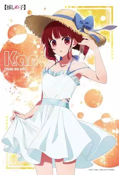 Jigsaw puzzle TV anime Kana Arima 300 pieces [Oshinoko] (300-3138)