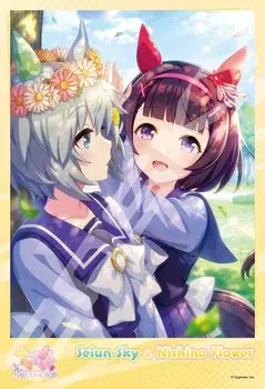 Jigsaw Puzzle Uma Musume Pretty Derby Dedicated to You 300 Pieces (300-1997)