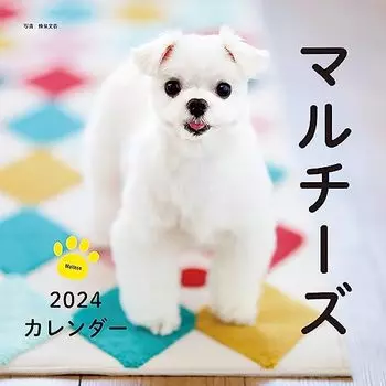 Календарь 2024 Мальтийский (Календарь Seibundo Shinkosha)