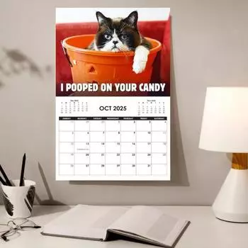 Календарь Yousheng 2025 Cat, забавный настенный календарь с изображением кошек, подвесной ежемесячный ежедневник с изображением злого котенка, подарки для любителей кошек Cat