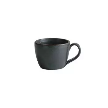 Kinto Кружка TERRA черная 300 мл 25872 чёрный