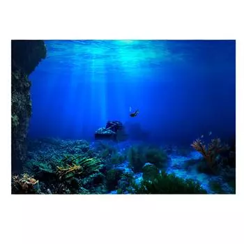 Клейкий фон-плакат Seaworld для украшения аквариума 91 X 50 см