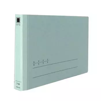 KOKUYO Flat File for Slips, 2 Holes, Different Dimensions 116 mm, Holds 150 Sheets, F-46