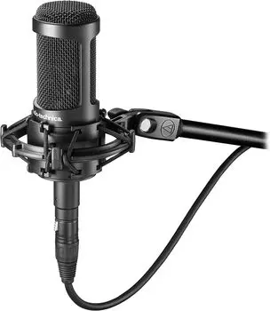 Конденсаторный микрофон AT2050 Audio-Technica