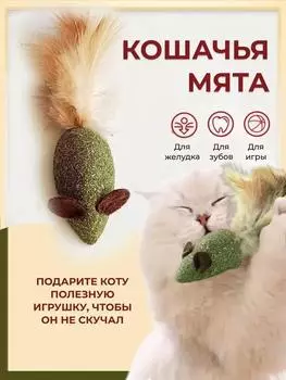 Корм для домашних животных Кошачьи лакомства Кошачья мята One Size зелёный