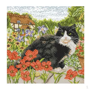 , Кот, Маркированный, с 11CT