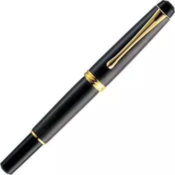 Kuretake Fude Pen Kuretake Fountain Brush Dream Galaxy Natural Wood Pear Shaped DAY140-19