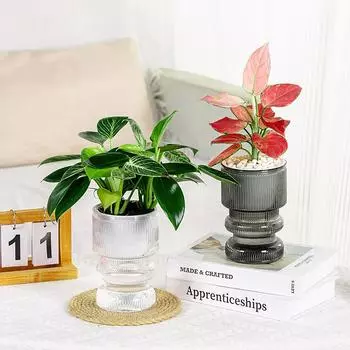 Lazy Hydroponic Flower Pot Automatic Water-Absorbing Flowerpot Self Watering Flower Pot Plastic Plants Pot Home Decor белый