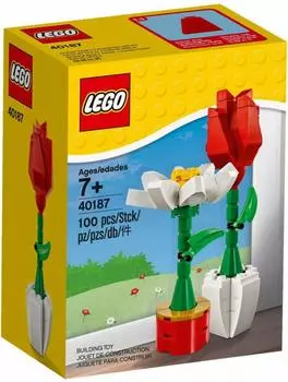 LEGO Flower Display Flower Display 40187 Для дня и ночи (Ограниченный предмет) День матери детей!