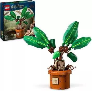 LEGO Гарри Поттер 76433 Мандрагора