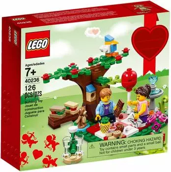 LEGO Valentine Picnic (40236)