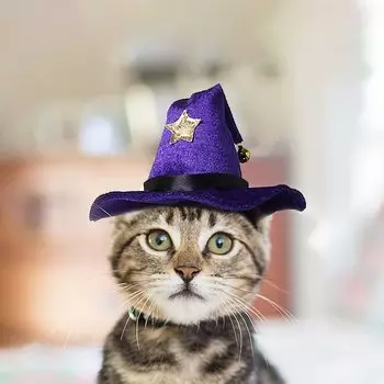 LESYPET Кошка Собака Хэллоуин Декоративная шляпа ведьмы с костюмом для вечеринки, колокольчик, Хэллоуин, Рождество,