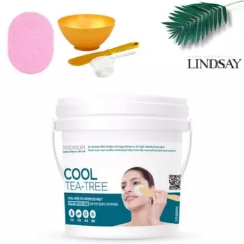 Lindsay Premium Tea Tree Modeling Pack 820g + pack tool set sponge, 1 can, 1 can