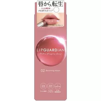 Lipp Car Diane Elisabeth sLippers White Mellow Wrappy Glue 02 3,8 г