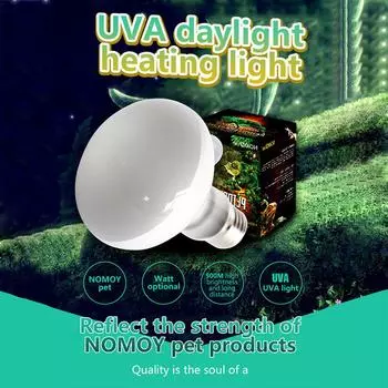 Lizard Heat Lamp Temperature Controller Basking Light Halogen Bulb UVA Light Reptile 1