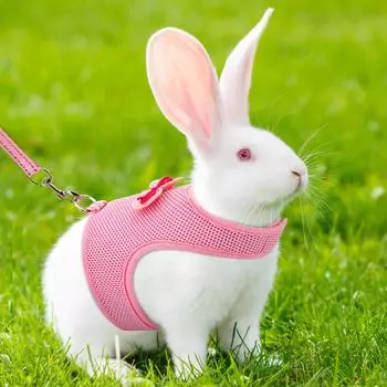 Macaron Rabbit Harness Soft Mesh Small Pet No Pull Comfort Padded Vest for Bunny Guinea Pigs Squirrels and Other Small Animal S оранжевый