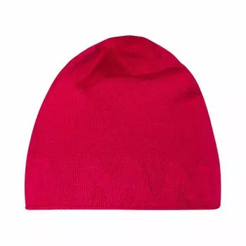Mammut Logo Beanie fruit [Mammut] 1191-04891 sundown-dragon