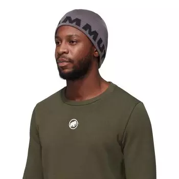 Mammut Logo Beanie [Mammut] 1191-04891 steel-black