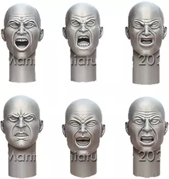 Mantis Miniature General Purpose Headset 1 Angry Expression 6 Types 2 Sizes 12 Pieces Resin Kit MAC45 1/35