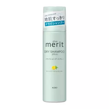 Merit Day Plus Dry Shampoo 130g