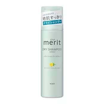 merit day plus dry shampoo 130g