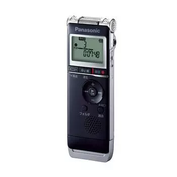 Микросхема диктофона Panasonic (черный) RR-XS370-K