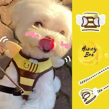 Милый комплект шлейки и поводка для щенков Bee Kitten, мягкий дышащий жилет для собак, шлейка, поводки, одежда для маленьких собак, чихуахуа S