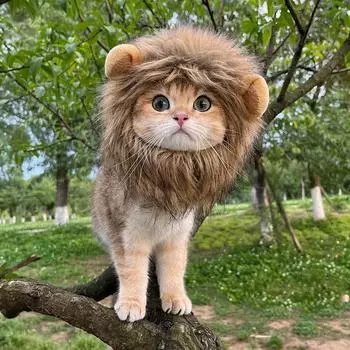 Милый парик для кошек с львиной гривой, шляпа, забавная одежда для домашних животных, кепка, необычная вечеринка, костюм для косплея собак, шляпа с котенком и ушками, аксессуары, костюм кошки