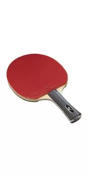 Mizuno Набор для настольного тенниса TECHNIX/ROOKIE SET, модель Entry 83JTT698