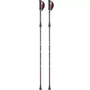 MIZUNO Nordic Walk Folding Carbon Walking Pole Set of 2 Unisex Red C3JTPB20 красный