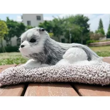 Многоцелевые товары для салона автомобиля Wonpungrung, мягкая игрушка, хаски 2, 1 шт., корейские аксессуары для автомобилей
