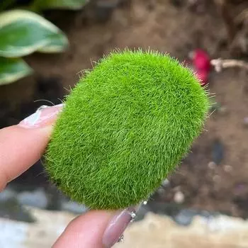 Моделирование камня из мха, искусственный мох, каменный шар, поддельное зеленое растение для домашнего сада, микроландшафтный горшок, украшение для творческих поделок 5PCS