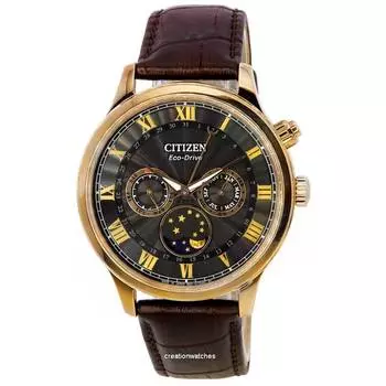 Мужские часы Citizen Eco-Drive Moon Phase Multifunction Black Dial AP1059-19E