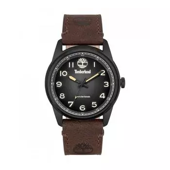 Мужские часы Timberland TDWGA2152104