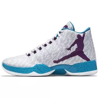 Мужские кроссовки Air Jordan 29 Feng Shui White Night-Purple Blue-Lagoon 822227-154