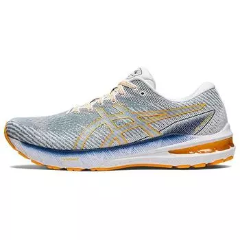 Мужские кроссовки ASICS GT 2000 10 Light Steel Amber серые 1011B185-404 39.5