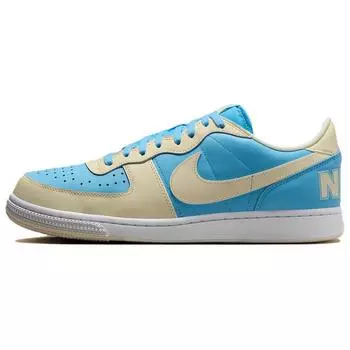 Мужские кроссовки Nike Terminator Low Aquarius Blue Coconut Milk белые HF4834-407 40.5