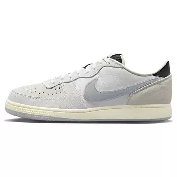 Мужские кроссовки Nike Terminator Low Libert Grey Phantom Wolf-Grey FJ4207-001 36