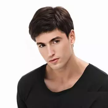 Мужской синтетический черный коричневый парик с челкой, натуральные ежедневные искусственные волосы для мужчин, короткие прямые парики для костюмированной вечеринки, термостойкое волокно чёрный