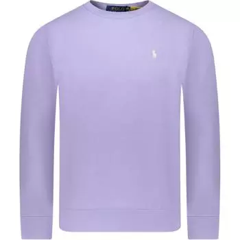 Мужской свитшот Polo Ralph Lauren с вышивкой логотипа, с круглым вырезом и длинными рукавами, лавандовый 710916689-028 L