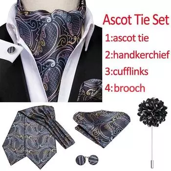 Набор мужских галстуков Hi-Tie, жаккардовый тканый галстук с узором пейсли Ascot, карманные квадратные запонки, брошь, набор AS-1004
