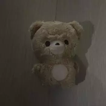 Nct Haechan Gom